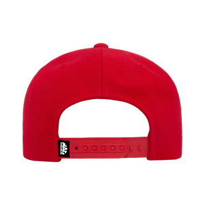 Z0027HAT Puff Logo Hat